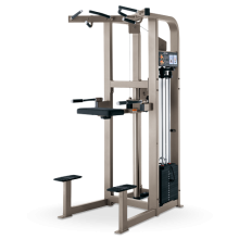 引体上升训练器 Pro2 系列 力健 LifeFitness