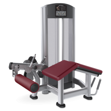 大腿屈伸训练器 Signature 单方位训练系列 力健 LifeFitness