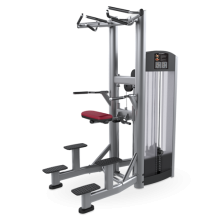 辅助式引体向上 Signature 单方位训练系列 力健 LifeFitness