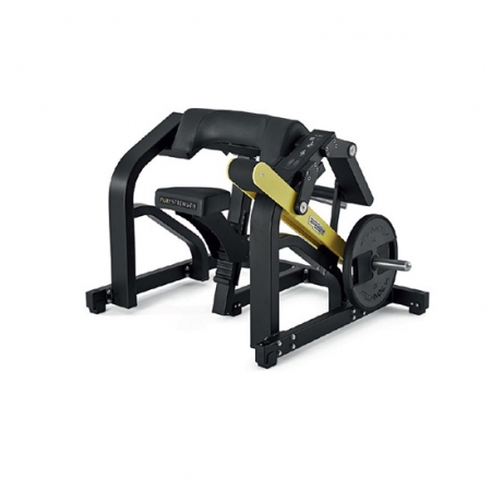 Biceps  Pure Strength 系列 泰诺健 TechnoGym