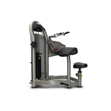 三頭肌伸展訓練機 AURA系列 MATRIX