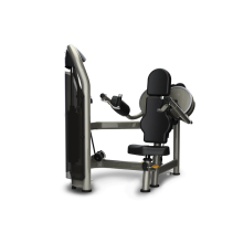 肩部側舉訓練機 AURA系列 MATRIX