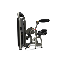 背部伸展訓練機 AURA系列 MATRIX